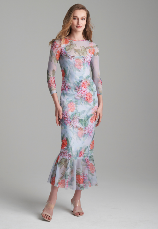 Sophie Sheer Mesh Dress in Eden