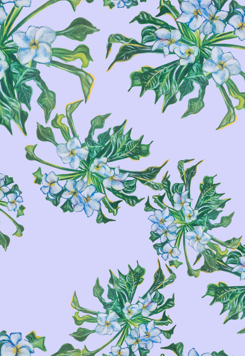 Kathe Cotton Dress in Lavender Mock Coffee
