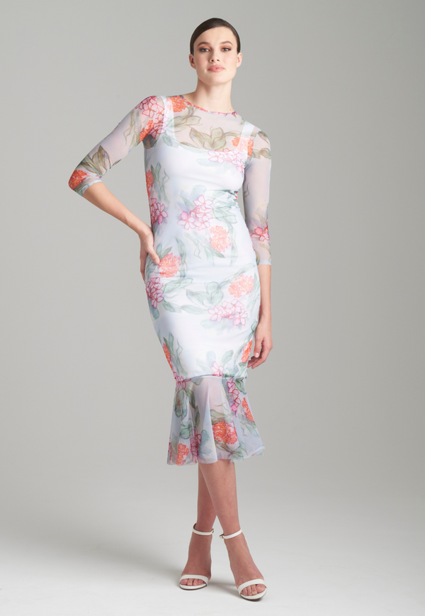 Sophie Sheer Mesh Dress in Eden