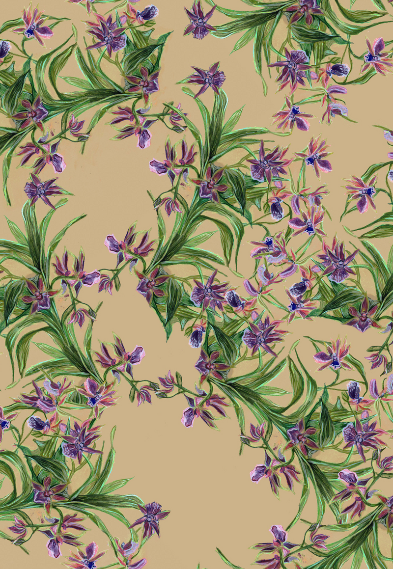 Annie Cotton Blouse in Regalia
