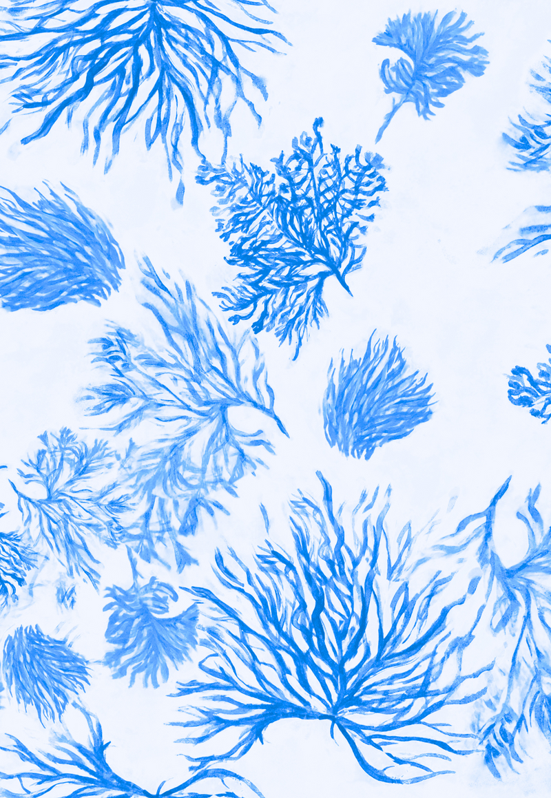 Sophia Mini Sheer Dress in Toile de Reef